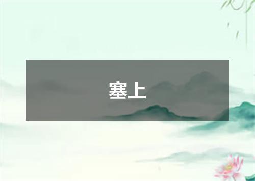 塞上