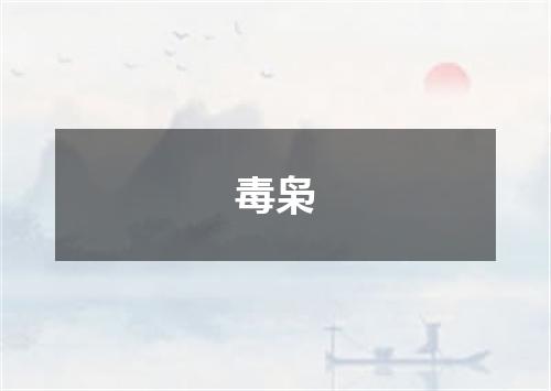 毒枭