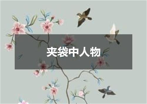 夹袋中人物