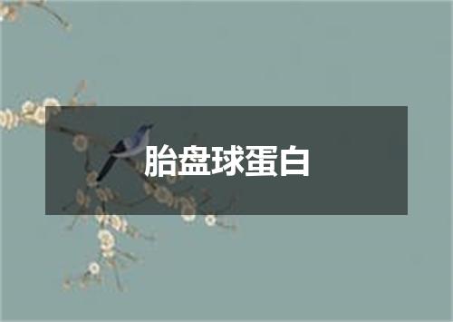 胎盘球蛋白
