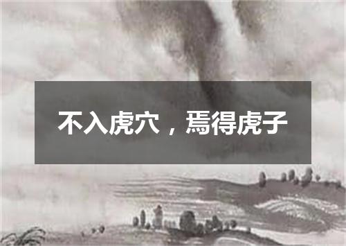 不入虎穴，焉得虎子