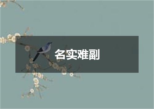 名实难副