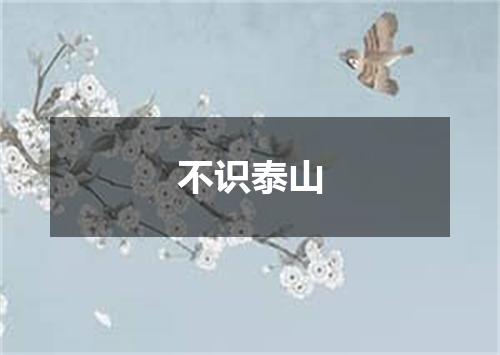 不识泰山