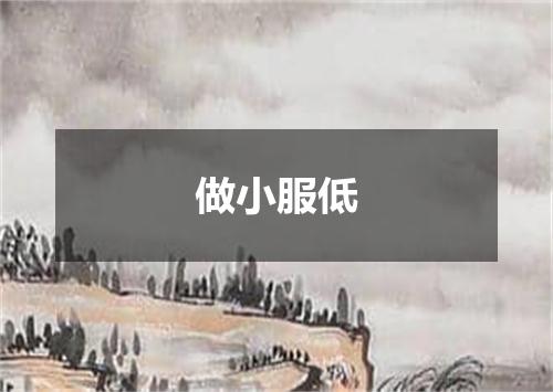 做小服低