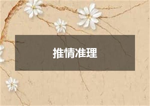 推情准理