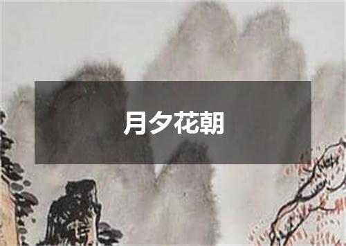月夕花朝