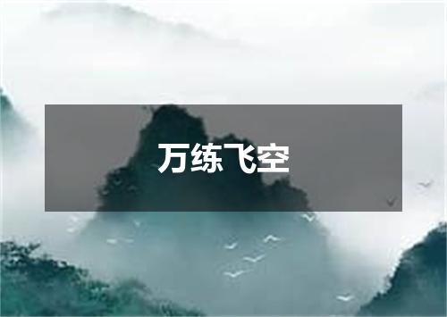 万练飞空