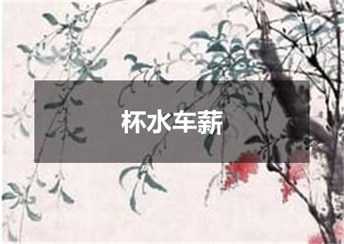 杯水车薪