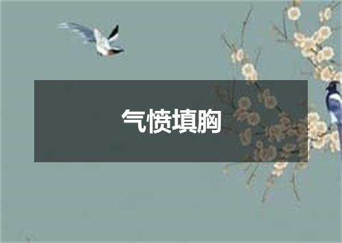 气愤填胸