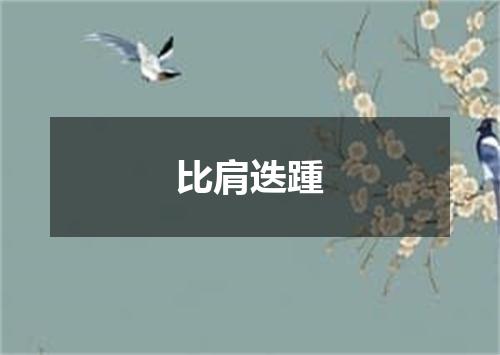 比肩迭踵