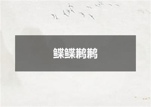 鲽鲽鹣鹣