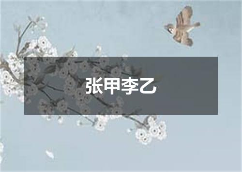 张甲李乙