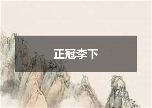 正冠李下