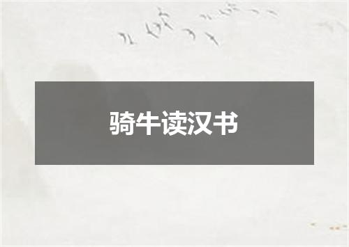 骑牛读汉书