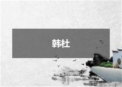 韩杜