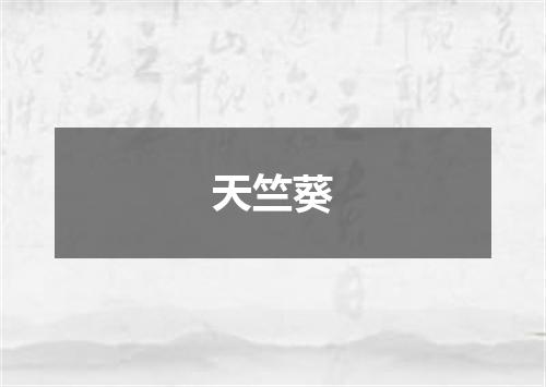 天竺葵