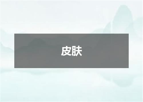 皮肤