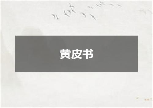 黄皮书