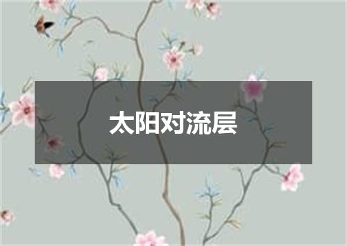 太阳对流层