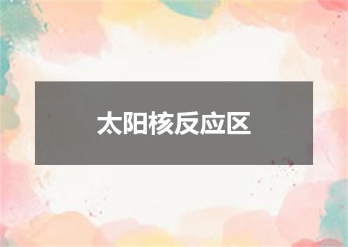 太阳核反应区