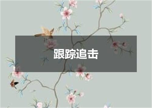 跟踪追击