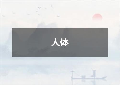 人体