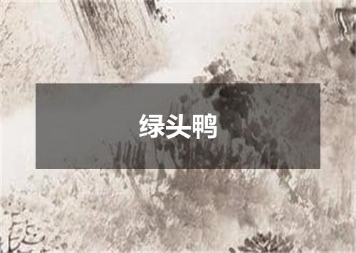 绿头鸭