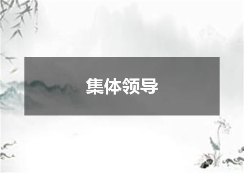 集体领导