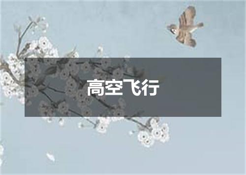 高空飞行