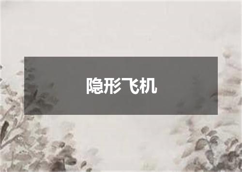 隐形飞机