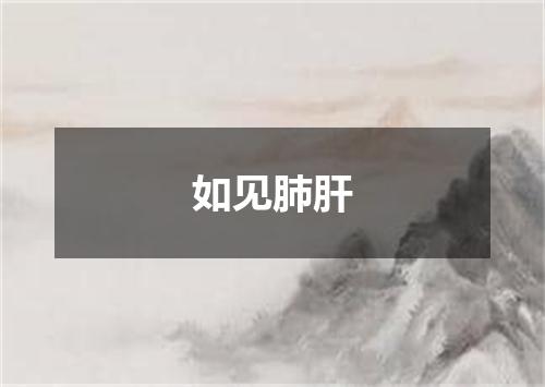 如见肺肝
