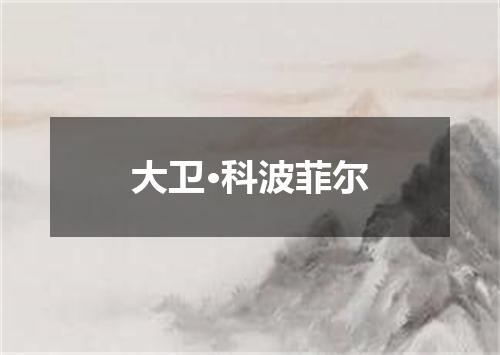 大卫·科波菲尔