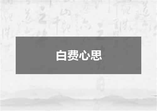 白费心思