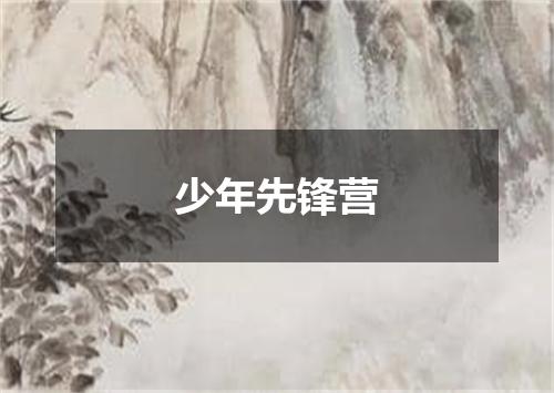 少年先锋营