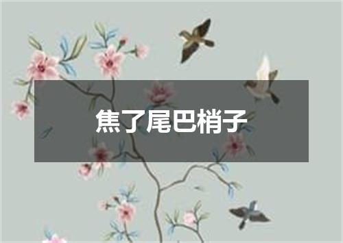 焦了尾巴梢子