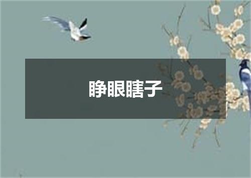 睁眼瞎子