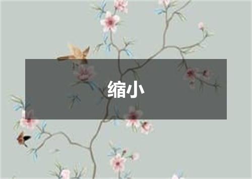 缩小