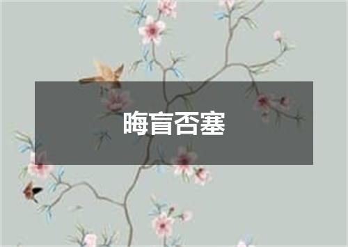 晦盲否塞