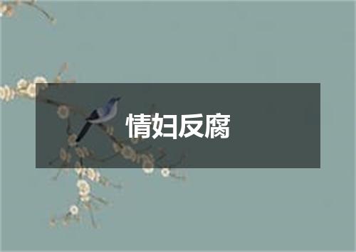 情妇反腐