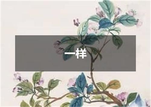 一样