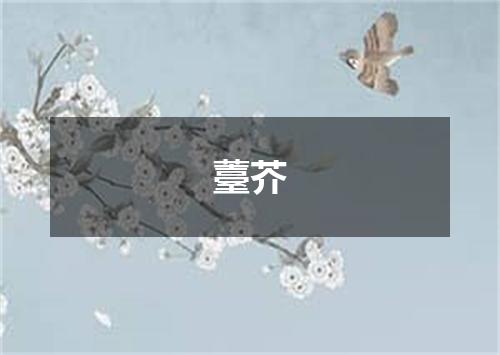 薹芥