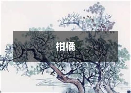 柑橘
