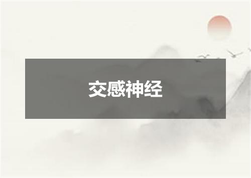 交感神经