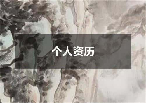 个人资历
