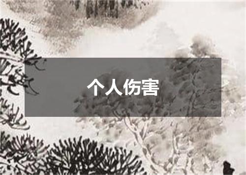 个人伤害