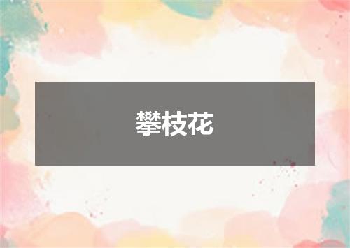 攀枝花