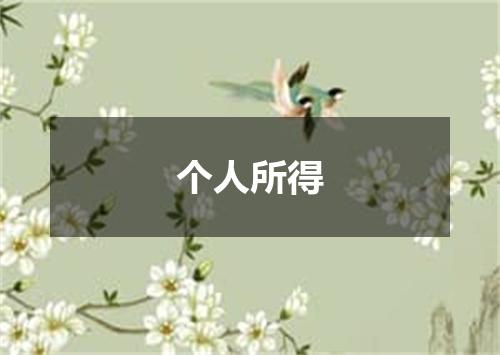 个人所得