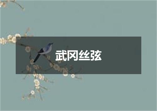 武冈丝弦