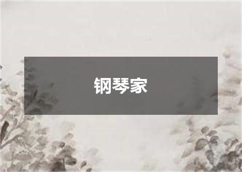 钢琴家
