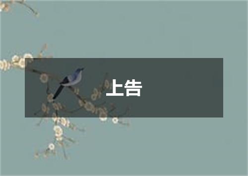 上告